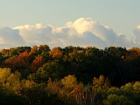13251RoCrLeUsm - Autumn colours in Rouge Valley Conservation Area.JPG